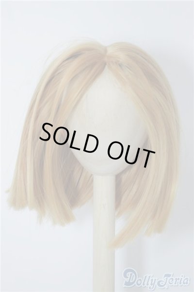 画像1: 8〜9imnch/ウィッグ U-24-08-20-023-TN-ZU (1)