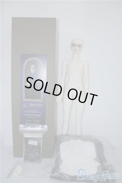 画像8: SD17男の子/セイブル・スネイプ U-24-08-20-219-TN-ZU (8)