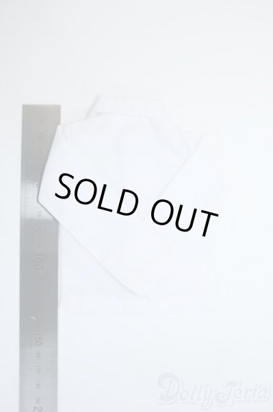 画像2: SDM＆MSD/OF:トップス Y-25-10-01-113-TN-ZY (2)