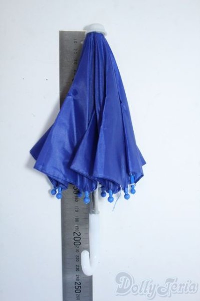 画像2: 【新品】SDサイズ/傘 Y-25-08-27-248-TN-ZY (2)