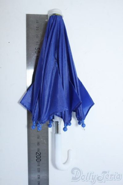 画像2: 【新品】SDサイズ/傘 Y-25-08-27-249-TN-ZY (2)