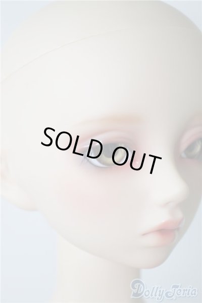 画像3: SD13G/フルチョイスF-62 U-24-10-22-219-KD-ZU (3)