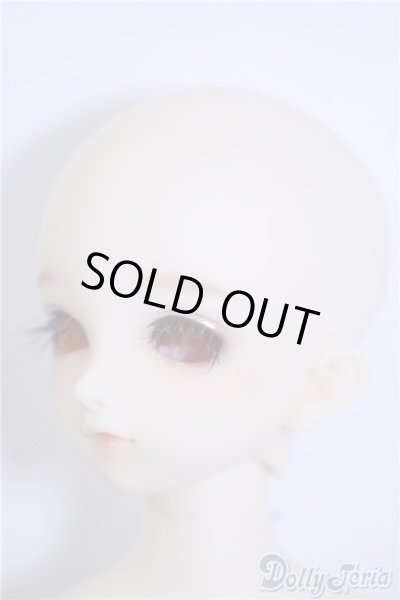 画像2: SDM/フルチョイス:F-33 U-24-10-29-218-TN-ZU (2)