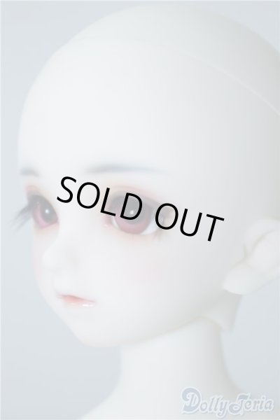 画像4: SDM/フルチョイス:F-33 U-24-10-22-220-TN-ZU (4)