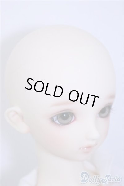 画像3: SD/まい：スタンダードモデル U-24-10-29-219-TN-ZU (3)