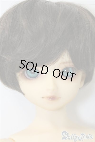 画像1: SDB/教室Bヘッド U-24-11-12-211-TN-ZU (1)