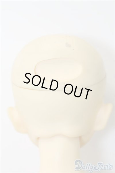 画像5: SDB/教室Bヘッド U-24-11-12-211-TN-ZU (5)