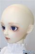 画像4: SD13女の子/フルチョイスF-23 U-24-12-10-217-TN-ZU (4)
