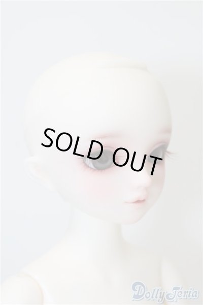 画像3: SDM/サキ　スタンダードモデル U-24-12-10-215-TN-ZU (3)