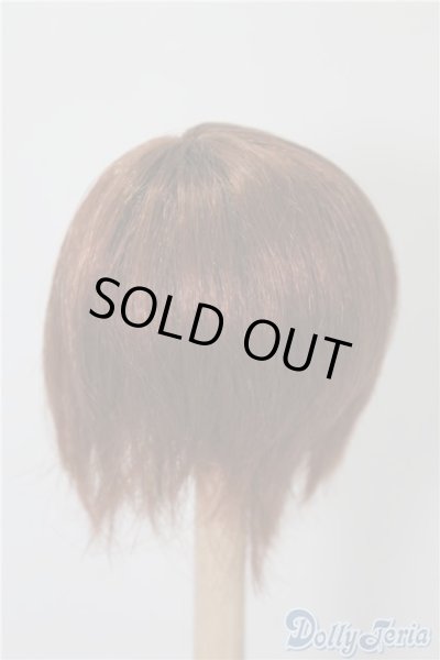 画像2: 6-7inch/ウィッグ U-24-12-17-045-TN-ZU (2)