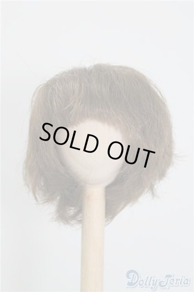 画像1: 6-7inch/ウィッグ U-24-12-31-111-TN-ZU (1)