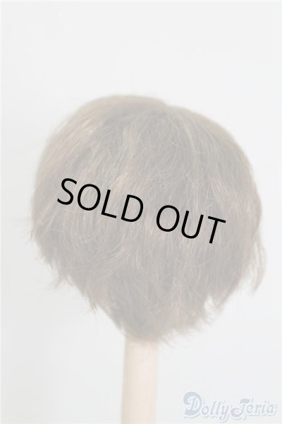 画像2: 6-7inch/ウィッグ U-24-12-31-111-TN-ZU (2)