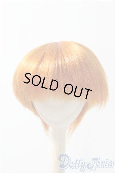 画像1: 8-9inch/ウィッグ U-25-02-18-028-TN-ZU (1)