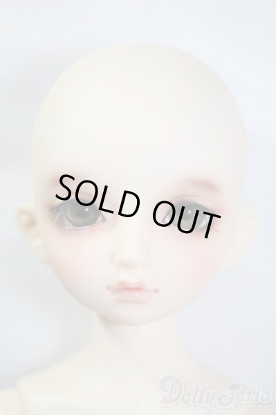 画像2: SDM/のあ:スタンダードモデル Y-25-02-25-219-TN-ZY (2)