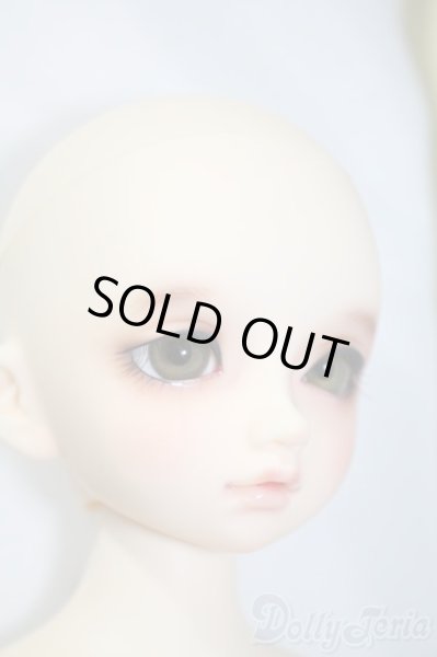 画像3: SDM/のあ:スタンダードモデル Y-25-02-25-219-TN-ZY (3)