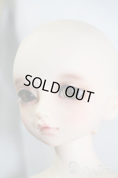 画像4: SDM/のあ:スタンダードモデル Y-25-02-25-219-TN-ZY (4)