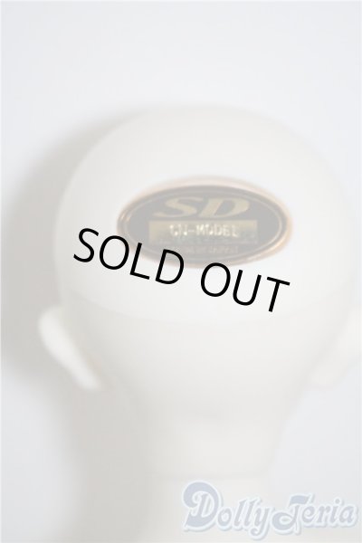 画像8: SDM/F-35：コーディネートモデル U-25-03-04-210-TN-ZU (8)