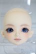 画像1: SDM男の子/コーディネートモデル白鳥 U-25-03-11-206-TN-ZU (1)