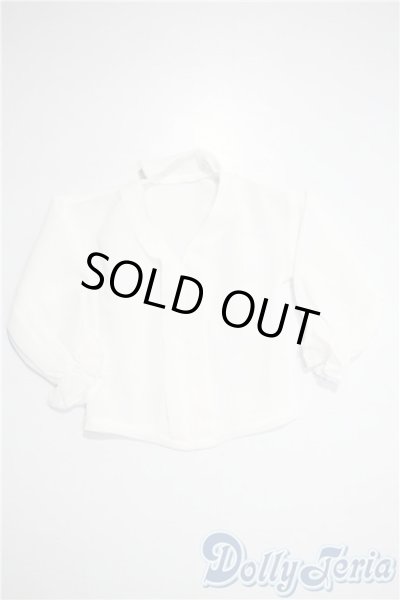 画像1: SDM＆MSD/OF:トップス U-25-03-18-056-TN-ZU (1)