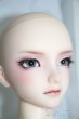 画像3: SDGrB/ワンオフモデルF-101aone様 U-25-03-11-217-TN-ZU (3)