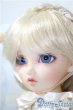 画像3: Dear　SD/キラ　BABY, THE STARS SHINE BRIGHT U-25-03-18-215-KD-ZU (3)