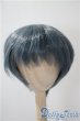 画像1: 8-9inch/ウィッグ U-25-04-01-164-TN-ZU (1)