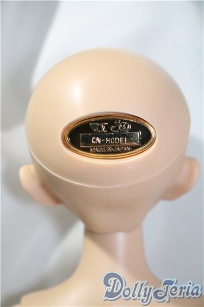 画像5: SDM/F-20:コーディネートモデル U-25-03-18-212-TN-ZU (5)