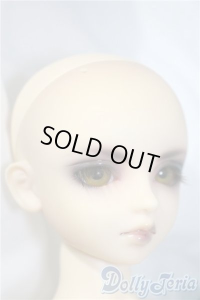 画像3: MSD/ヒューイ3rd. U-25-03-18-214-TN-ZU (3)