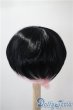 画像2: 9-10inch/ウィッグ U-25-03-25-036-TN-ZU (2)