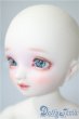 画像3: SDM女の子/コーディネートモデルF-62 U-25-03-25-220-TN-ZU (3)