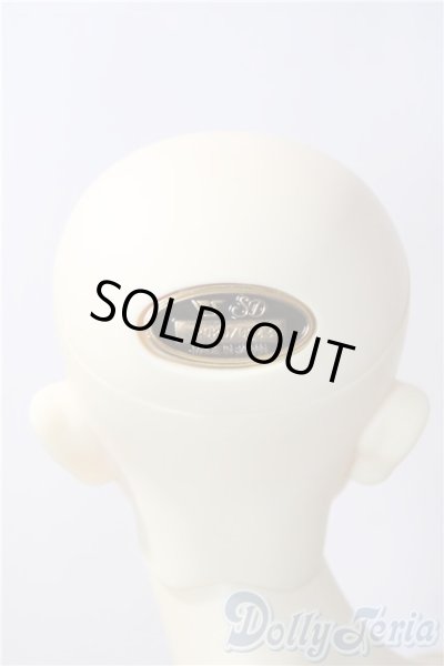 画像5: SD17BOY/ウィリアムズ:Commodore ver. U-26-01-04-215-TN-ZU (5)