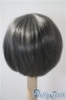画像2: 9-10inch/ウィッグ U-25-04-08-163-TN-ZU (2)