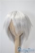 画像1: 7-8inch/ウィッグ　BJD　CROBI製 U-25-04-15-029-KD-ZU (1)
