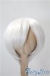 画像1: 8inch/ウィッグ　BJD　CROBI製 U-25-04-15-031-KD-ZU (1)
