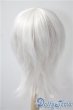 画像2: 9-10inch/ウィッグ　BJD　CROBI製 U-25-04-15-032-KD-ZU (2)