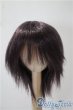 画像1: 7-8inch/ウィッグ U-25-04-22-019-TN-ZU (1)