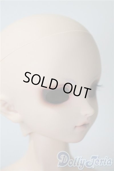 画像2: SDM/F-40　フルチョイス U-25-04-29-218-TN-ZU (2)