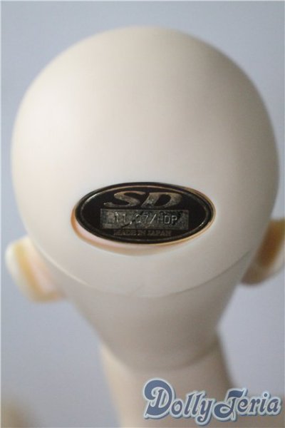 画像6: SDGr/伊達政宗 U-25-04-29-215-TN-ZU (6)