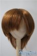 画像1: 8-9inch/ウィッグ　VOLKS U-25-05-06-035-KD-ZU (1)