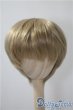 画像1: 9-10inch/ウィッグ　for my doll U-25-05-06-042-KD-ZU (1)