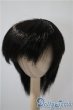 画像1: 9-10inch/ウィッグ U-25-05-06-036-KD-ZU (1)