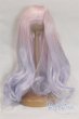 画像1: 9-10inch/ウィッグ U-25-04-29-237-TN-ZU (1)