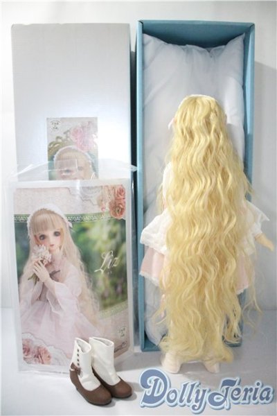 画像7: SDMGIRL/リズ A-25-05-06-217-KD-ZA (7)