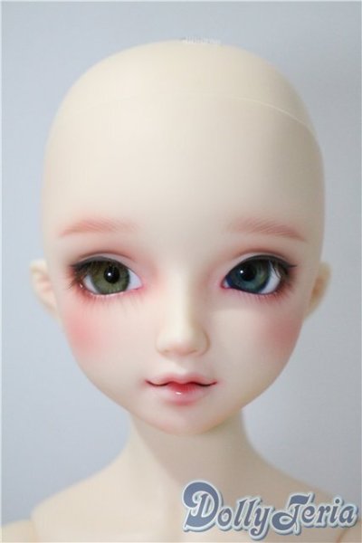 画像1: DearSD/フルチョイスF-59　オーダーメイク　ヘッド U-25-05-13-216-KD-ZU (1)