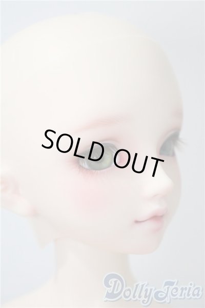 画像2: DearSD/フルチョイスF-59　オーダーメイク　ヘッド U-25-05-13-216-KD-ZU (2)