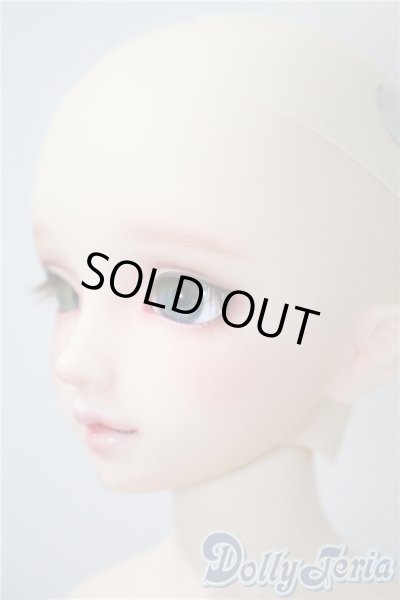 画像3: DearSD/フルチョイスF-59　オーダーメイク　ヘッド U-25-05-13-216-KD-ZU (3)