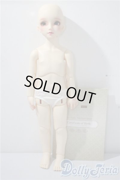 画像5: DearSD/フルチョイスF-59　オーダーメイク　ヘッド U-25-05-13-216-KD-ZU (5)