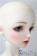 画像4: SD男の子/Le petit Frere(〜生まれ出るチルチルの弟〜ル プティ フレール) 「JOURNEY TO DREAM NIGHTS -夢夜へのいざない- 第十二章 青い鳥」 U-25-05-13-220-TN-ZU (4)