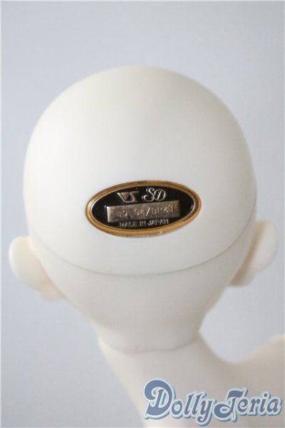 画像6: SD男の子/Le petit Frere(〜生まれ出るチルチルの弟〜ル プティ フレール) 「JOURNEY TO DREAM NIGHTS -夢夜へのいざない- 第十二章 青い鳥」 U-25-05-13-220-TN-ZU (6)