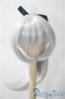 画像1: 9inch/ウィッグ DOLLCE U-25-06-05-048-TN-ZU (1)